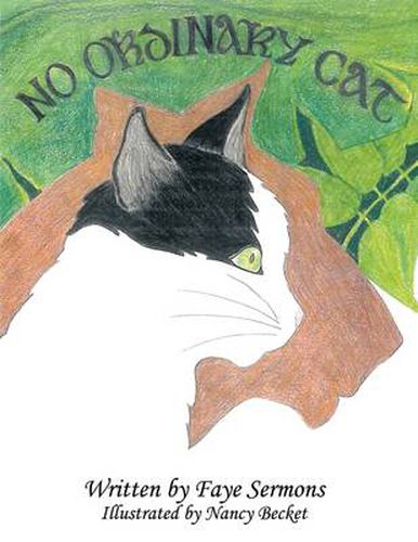 Cover image for No Ordinary Cat