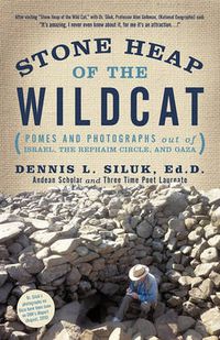 Cover image for Stone Heap of the Wildcat