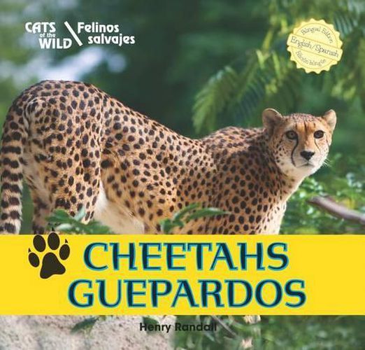 Cover image for Cheetahs/Guepardos