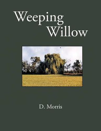 Cover image for Weeping Williow