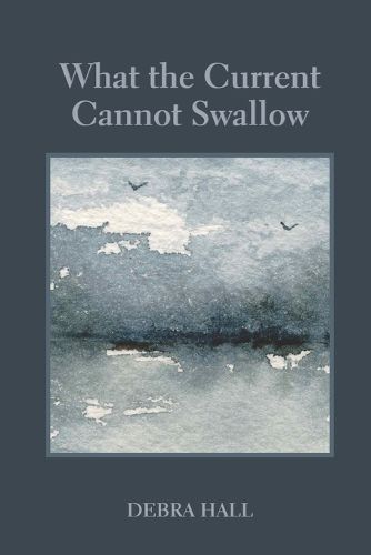 Cover image for What the Current Cannot Swallow