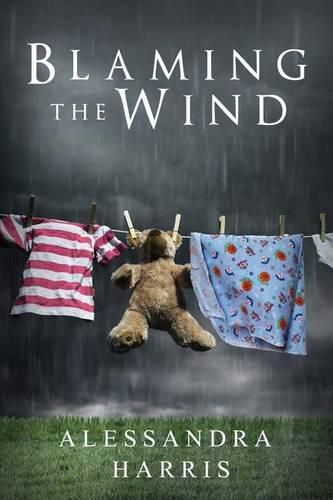 Cover image for Blaming the Wind