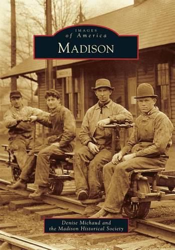 Cover image for Madison