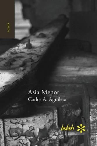 Cover image for Asia Menor