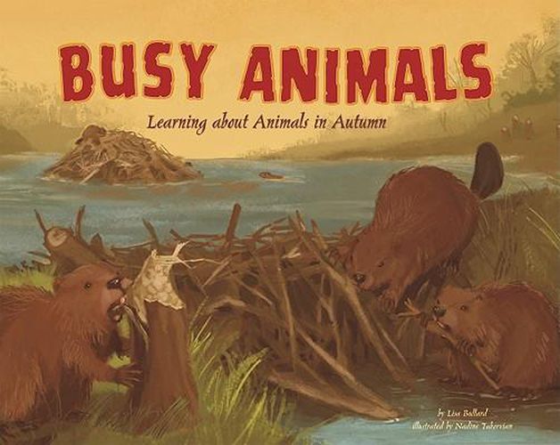 Cover image for Busy Animals: Learning about Animals in Autumn