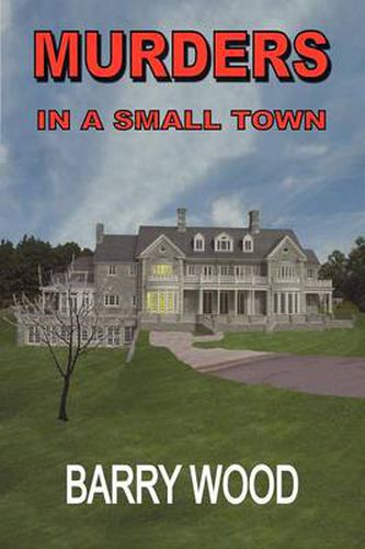 Cover image for Murders in a Small Town