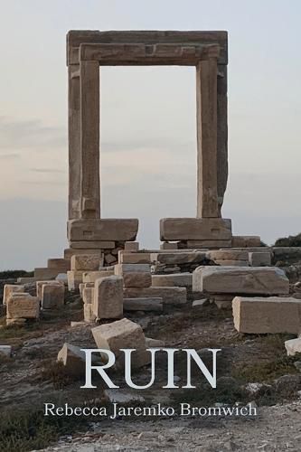 Cover image for Ruin