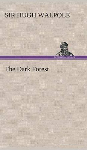 Cover image for The Dark Forest