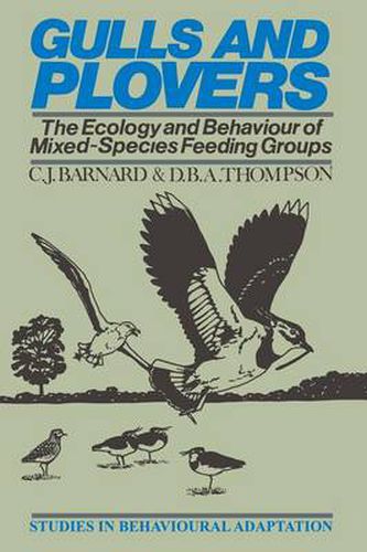 Cover image for Gulls and Plovers: The Ecology and Behaviour of Mixed-Species Feeding Groups