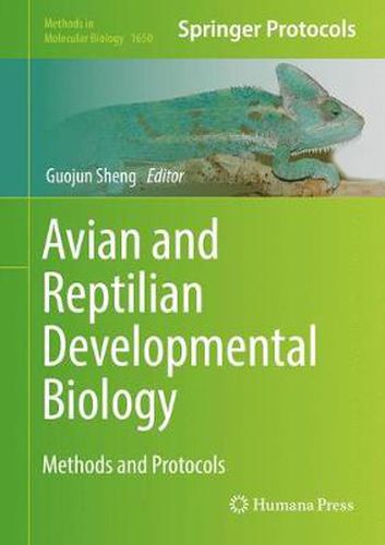 Cover image for Avian and Reptilian Developmental Biology: Methods and Protocols