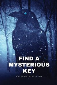 Cover image for Find a mysterious key