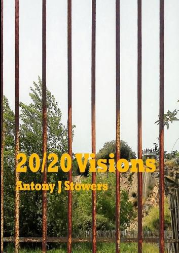 Cover image for 20/20 Visions