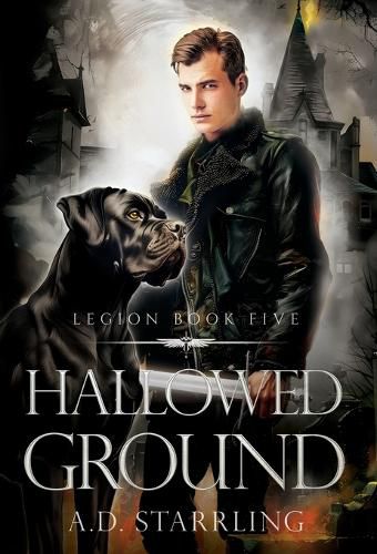 Cover image for Hallowed Ground