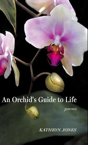 Cover image for An Orchid's Guide to Life