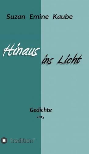 Cover image for Hinaus ins Licht