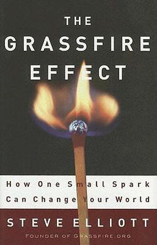 Cover image for The Grassfire Effect: How One Small Spark Can Change Your World