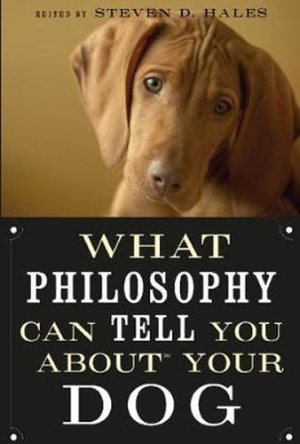 Cover image for What Philosophy Can Tell You about Your Dog