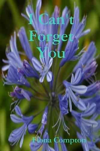 Cover image for I Can't Forget You