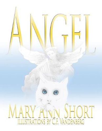 Cover image for Angel