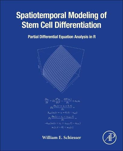 Spatiotemporal Modeling of Stem Cell Differentiation: Partial Differentiation Equation Analysis in R