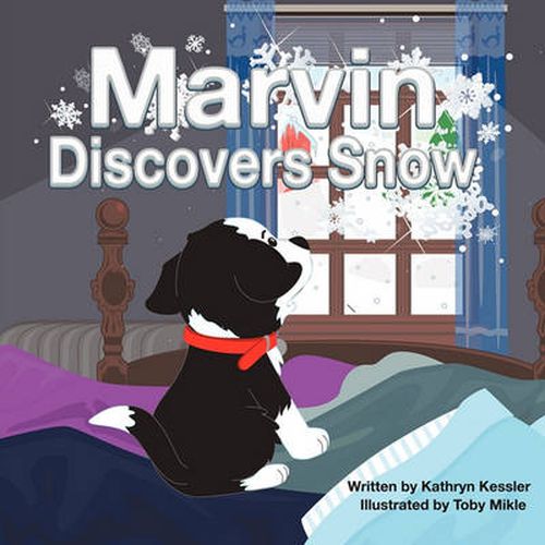 Cover image for Marvin Discovers Snow