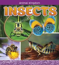 Cover image for Insects