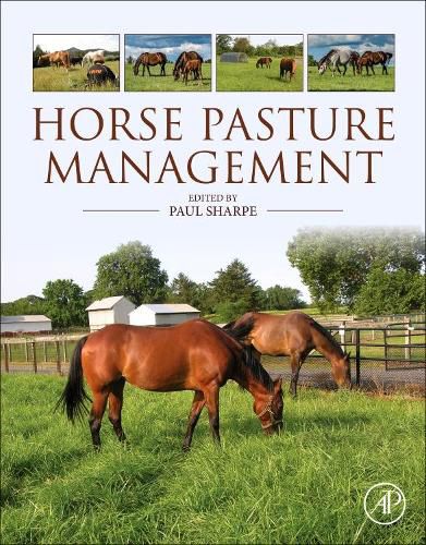 Cover image for Horse Pasture Management