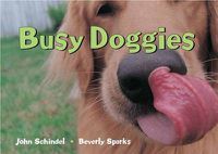 Cover image for Busy Doggies