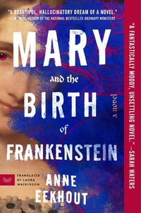 Cover image for Mary and the Birth of Frankenstein