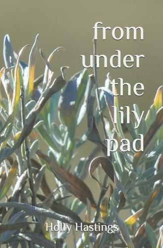 Cover image for From Under the Lily Pad