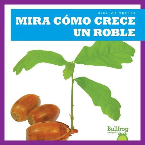 Cover image for Mira Como Crece Un Roble (Watch an Oak Tree Grow)