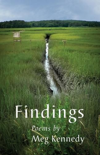 Cover image for Findings