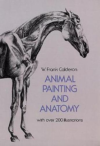 Cover image for Animal Painting and Anatomy