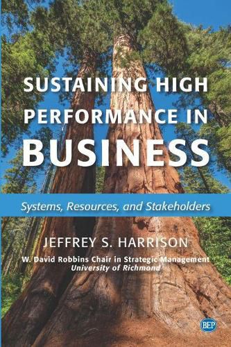 Cover image for Sustaining High Performance in Business: Systems, Resources, and Stakeholders