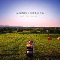 Cover image for Sometimes Just the Sky