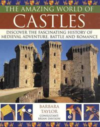 Cover image for Amazing World of Castles