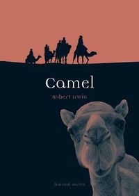 Cover image for Camel