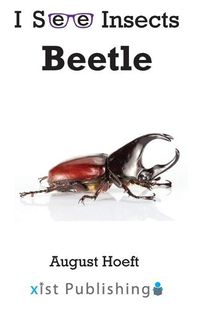 Cover image for Beetle