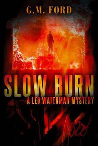 Cover image for Slow Burn