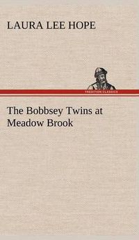 Cover image for The Bobbsey Twins at Meadow Brook