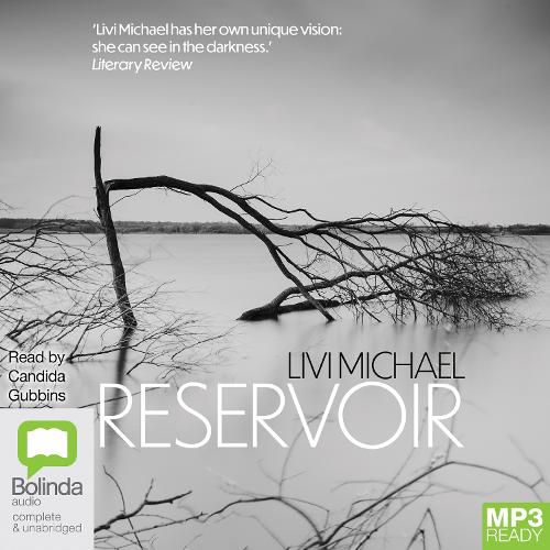 Cover image for Reservoir