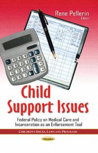 Cover image for Child Support Issues: Federal Policy on Medical Care & Incarceration as an Enforcement Tool