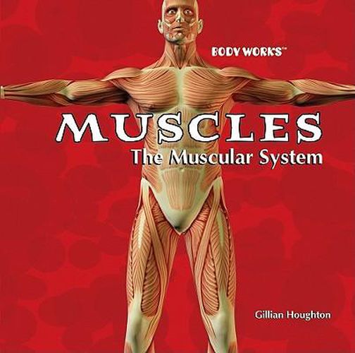 Cover image for Muscles: The Muscular System