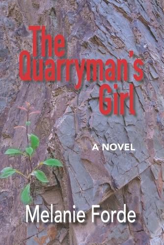 Cover image for The Quarryman's Girl
