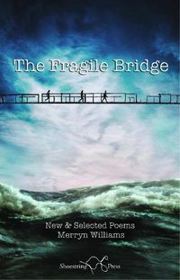 Cover image for The Fragile Bridge