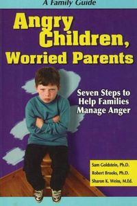 Cover image for Angry Children, Worried Parents