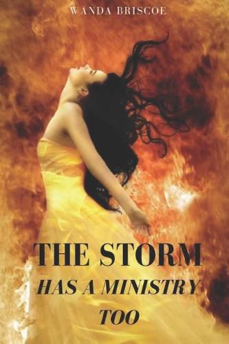 Cover image for The Storm Has A Ministry Too