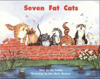 Cover image for Story Basket, Seven Fat Cats, 6-pack