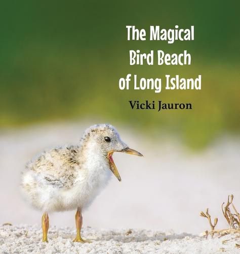 Cover image for The Magical Bird Beach of Long Island: A Children's Rhyming Picture Book About Shore Birds on Long Island