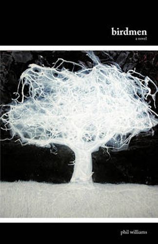 Cover image for Birdmen